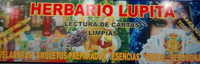 Herbario 